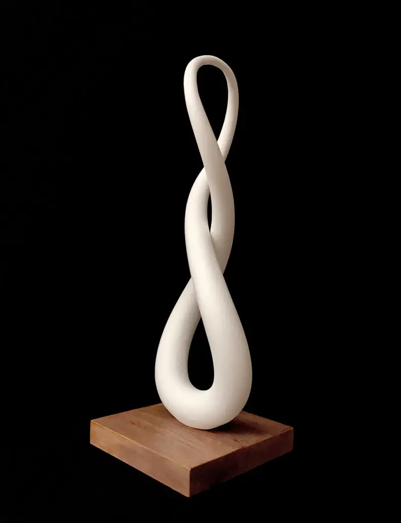 Infini_Toruz